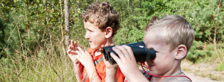 Speurtocht voor kinderen naar vlinders en bloemen