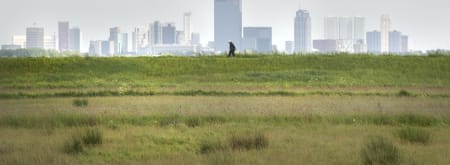 Wandelroute vanuit de stad naar het Rotterdams platteland