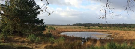 Wandelroute Twee Landen pad, vogelroute bij Bergeijk