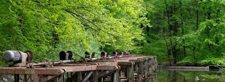 Natuurgebied Waterloopbos