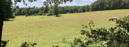 Uitzicht vanaf observatiepost Herikhuizen