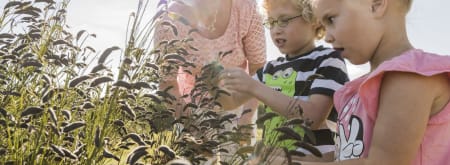 excursie met kinderen Marker Wadden