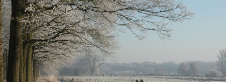 Bomenroute 's-Gravelandse Buitenplaatsen