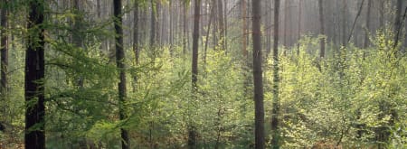 wandelroute bruin natuurpoort van loon