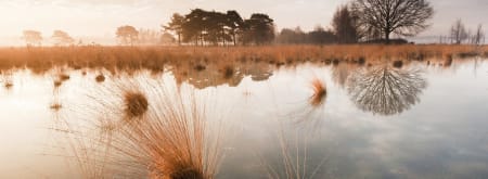 Vennenroute Huis ter Heide, vlak bij Tilburg