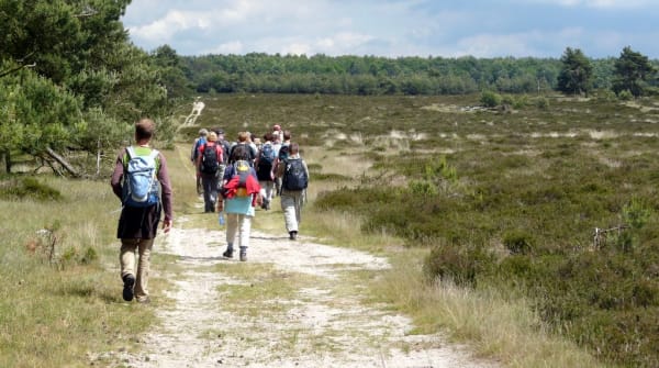 Wandelroute Deelerwoud, Veluwe