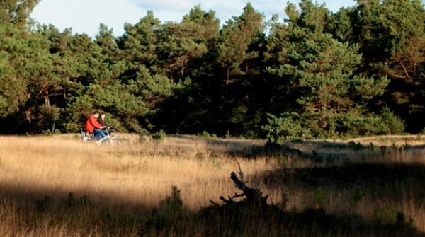 Fietsroute Smaakvol Landschap bij Arnhem