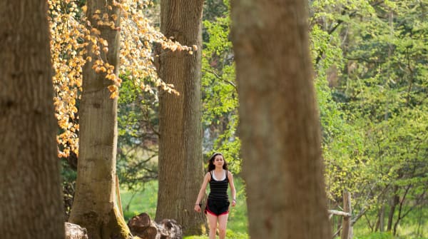 Wandelroute Parkbos Koningshof | Nationaal Park Zuid-Kennemerland