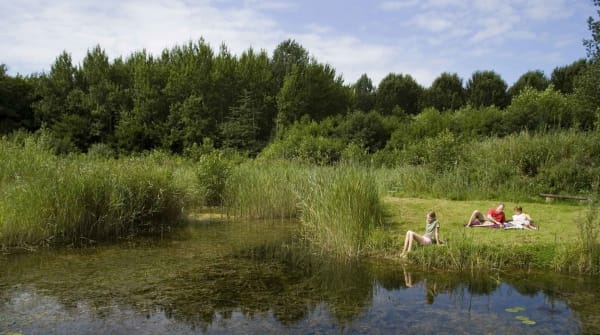 Stienteroute Voorsterbos, bij Kraggenburg