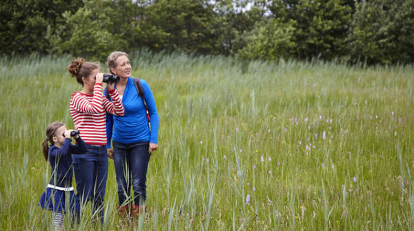 Wandelroute Empese en Tondense Heide, bij Zutphen