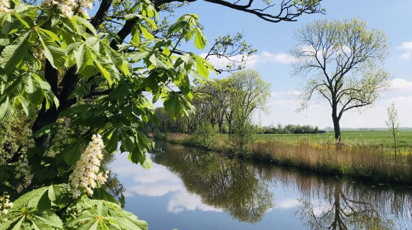 Nieuwkoopse Plassen