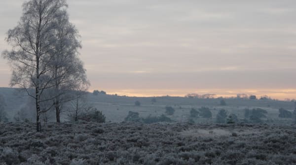 Sprengenberg in de winter