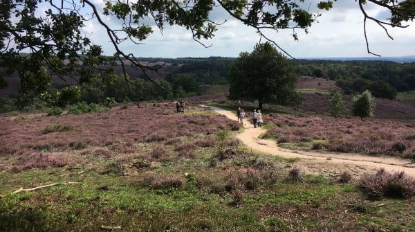 Wandelroute Herikhuizen Kraaijenberg