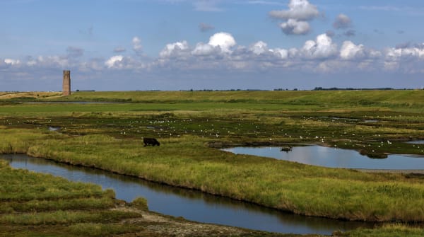 Nationaal Park Oosterschelde