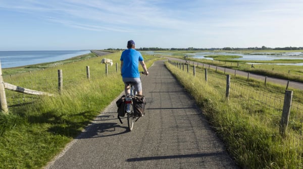 Fietsroute vogelboulevard Texel 