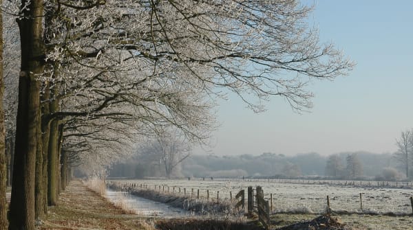 Bomenroute 's-Gravelandse Buitenplaatsen