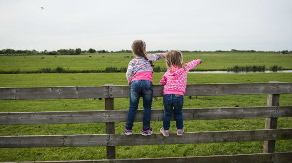 Polderpad Rotterdams platteland