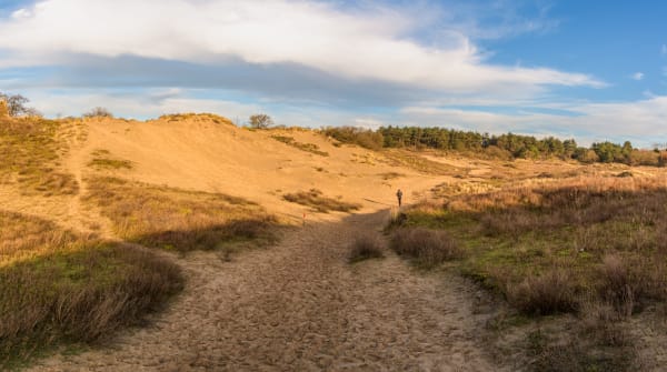 Trailrun Schiermonnikoog 