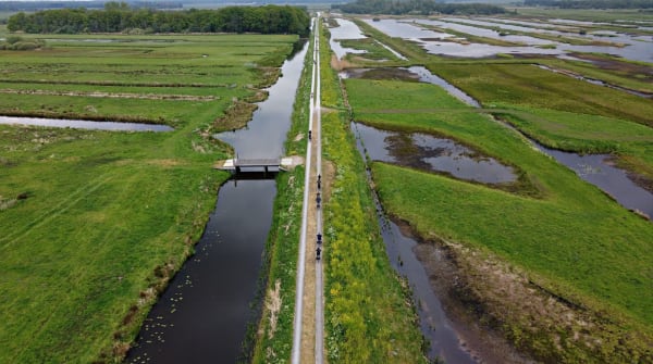 Vechtplassen