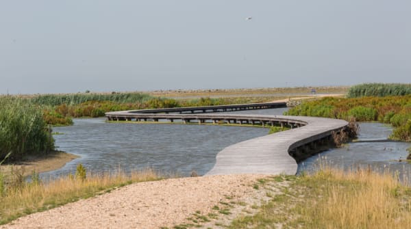 Vlonderpad Marker Wadden