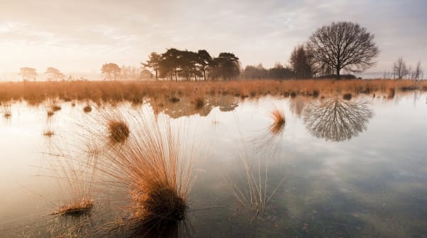 Vennenroute Huis ter Heide, vlak bij Tilburg