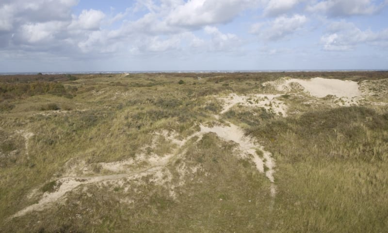 Uitzicht over Schiermonnikoog