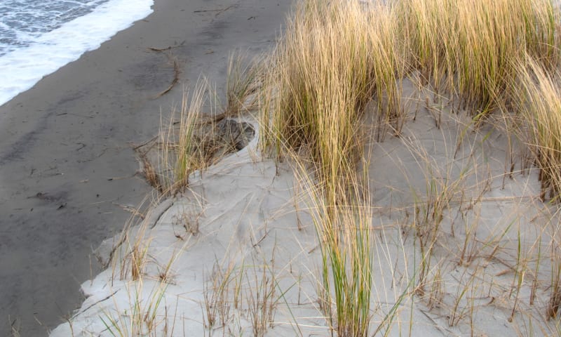 De stormen hebben de duinen deels weggeslagen op Noordzeestrand Schiermonnikoog
