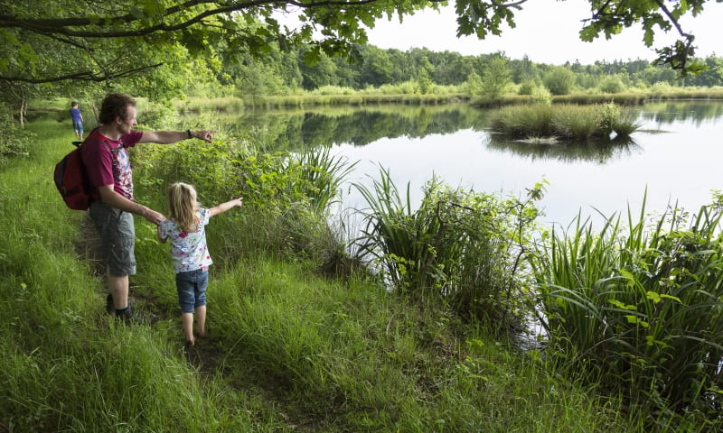 Witte veen