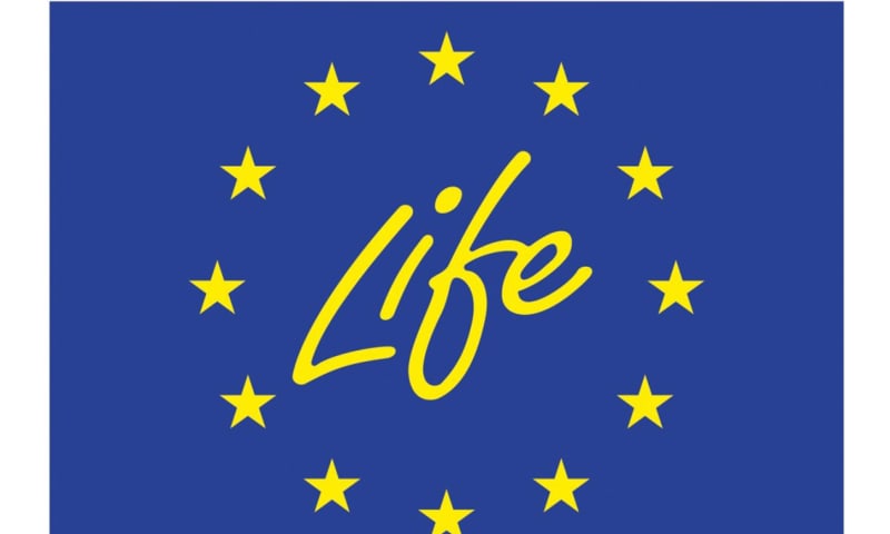 Life + logo