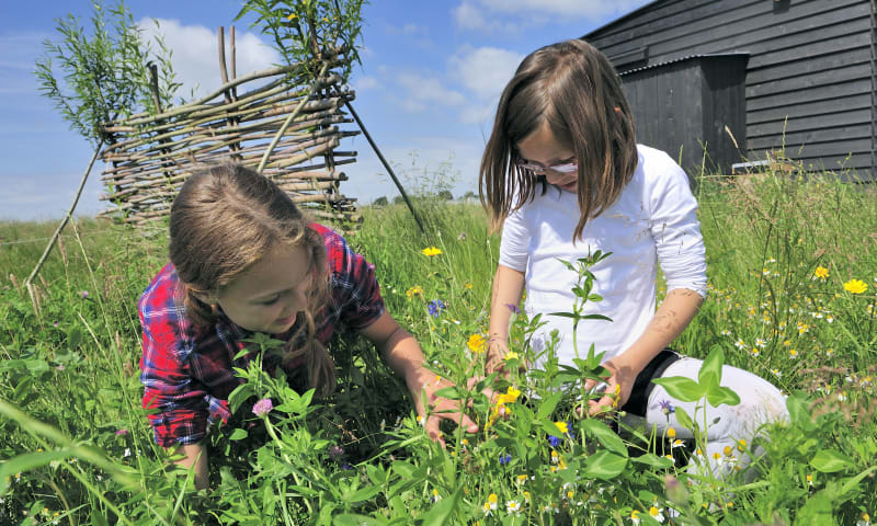 Wilde bloementuin bij Melkschuur Zuidpolder