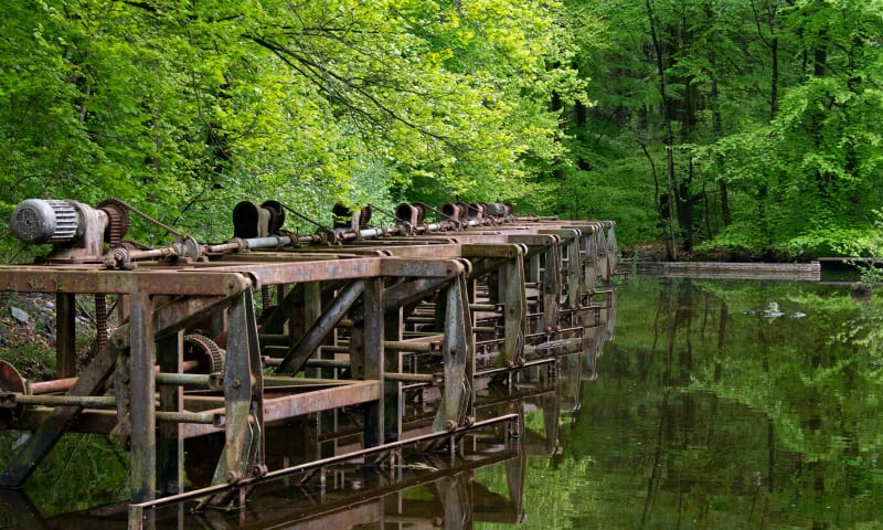 Natuurgebied Waterloopbos