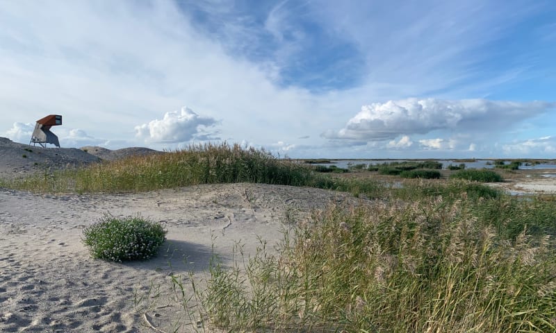 Marker Wadden uitzicht