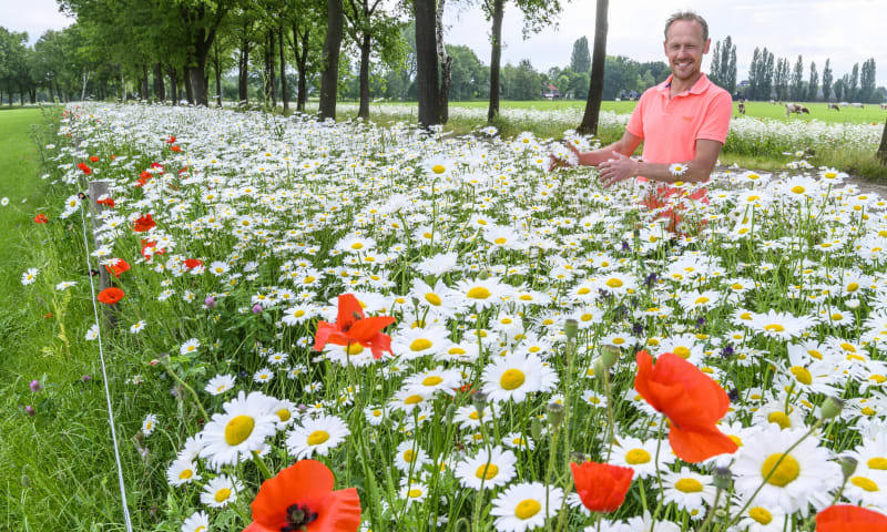 Boer Peter vd Broek - Martin van Lokven