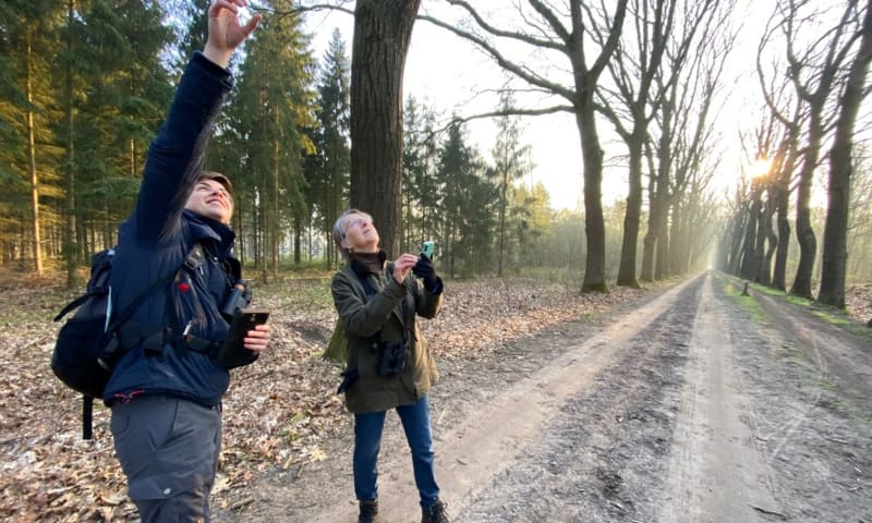 Twee personen zijn aan het vogelen in het bos.