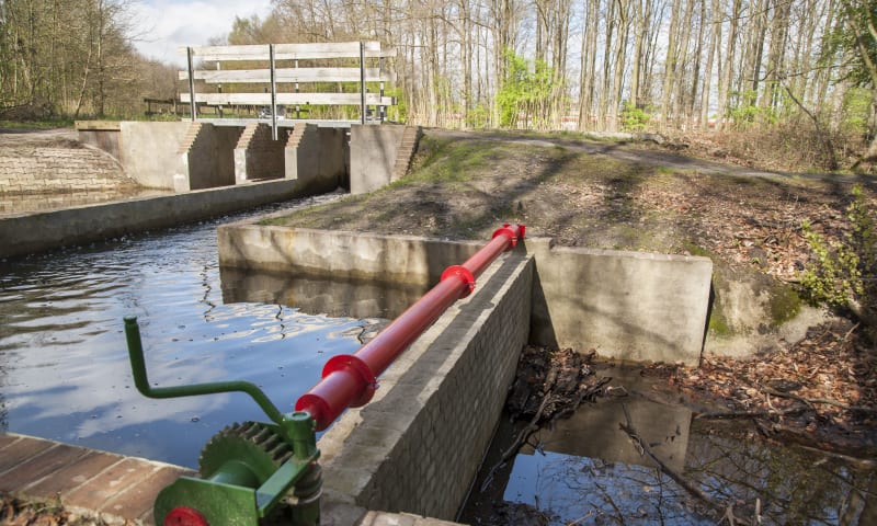 Aanpak van de eerste Romijnstuw in het Waterloopbos