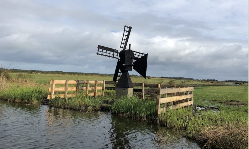 weidemolen