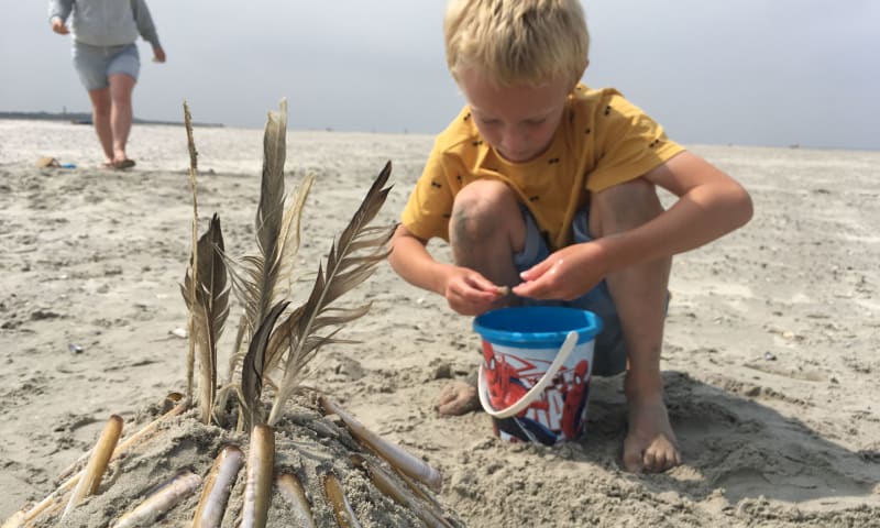 strand Schiermonnikoog