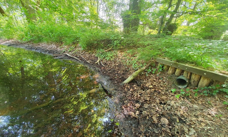 Het water in de Drie Vijvers staat laag