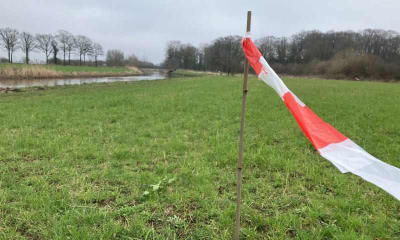 vlaggetjes in het te ontwikkelen glanshaverhooiland Velhorst