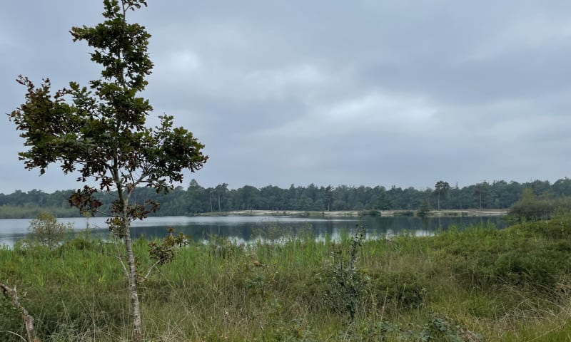 vergezicht Kampina