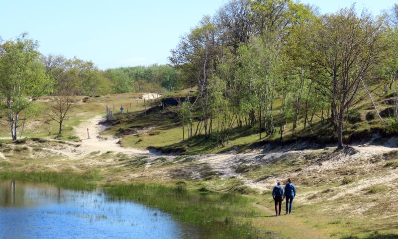 Zeepeduinen