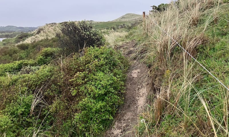 omleidingspaadje voor wandelaars naar strandopgang Duin en Kruidberg