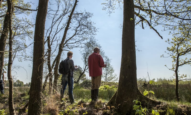 Twee personen zijn aan het vogelen in het bos.