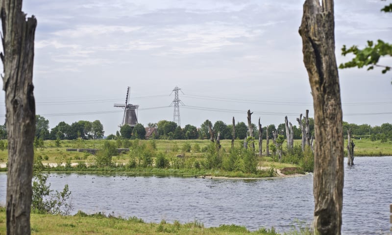 Molenplas met zicht op molen 