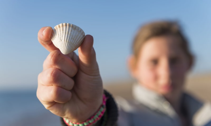 Strandjutten