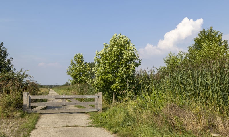 Wandelen Haarzuilens