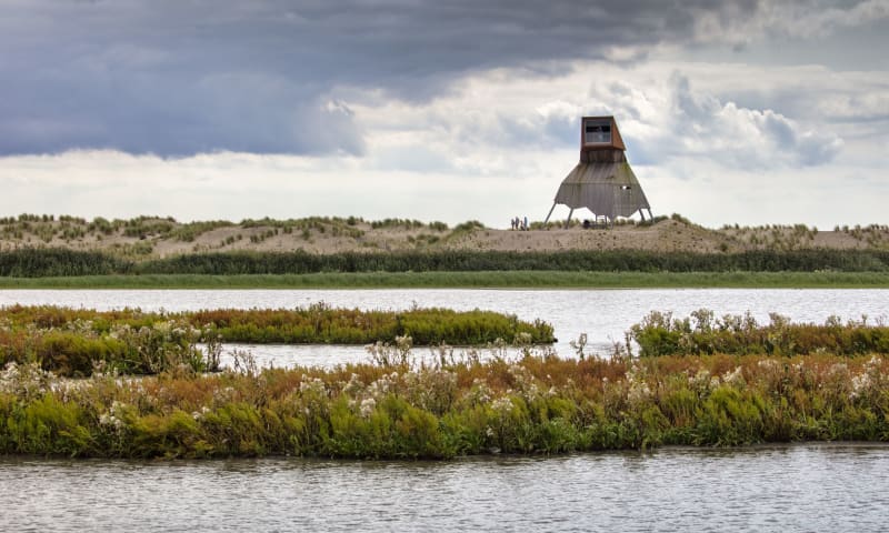 Herfst op Marker Wadden