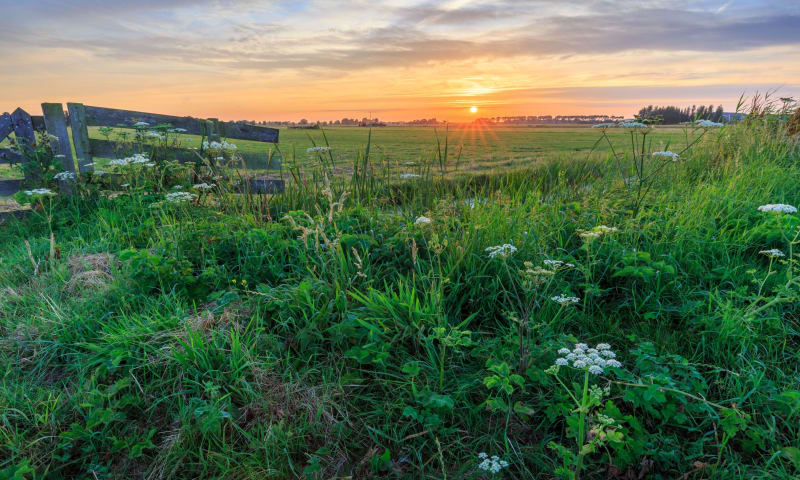 Polder Noord-Kethel