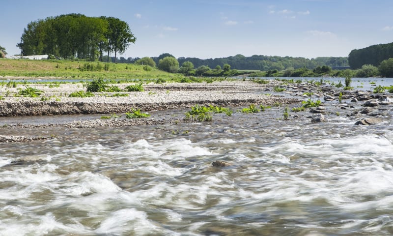 Dynamische riviernatuur