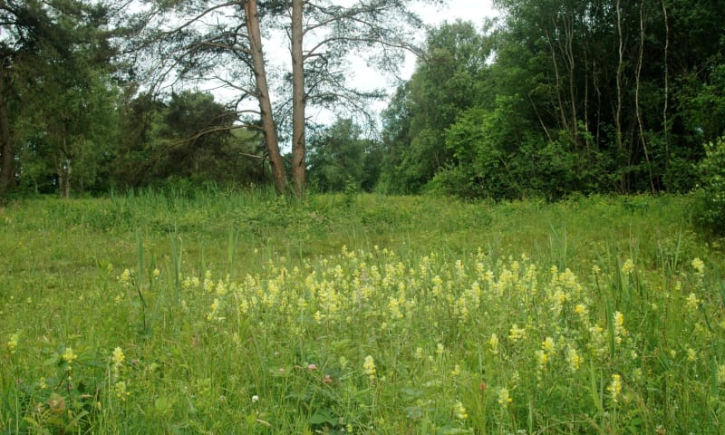 Grote Startbaan